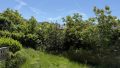 Garten2