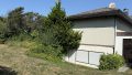 Garten2